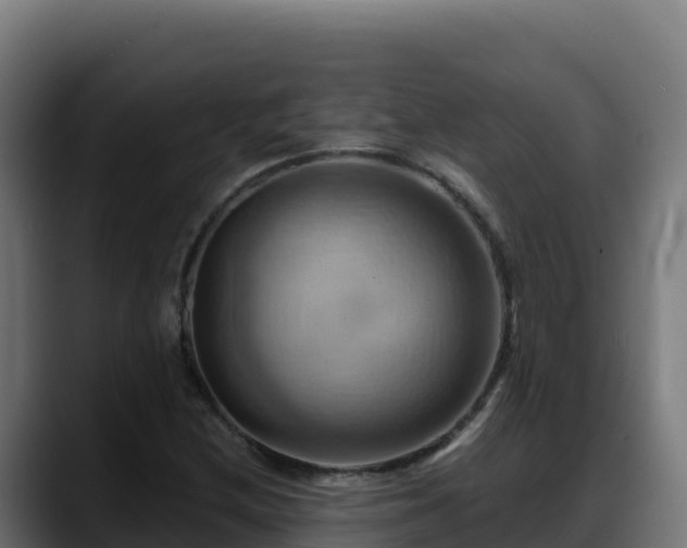 X0000088381212200705291341