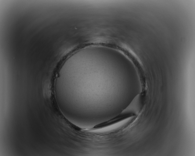 X0000088381213200705291341
