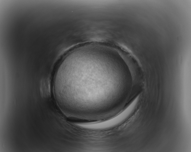 X0000088381214200705291341