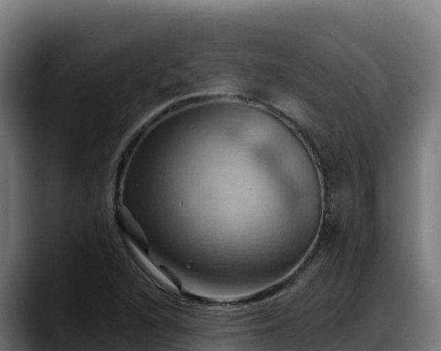 X0000088381216200705291341