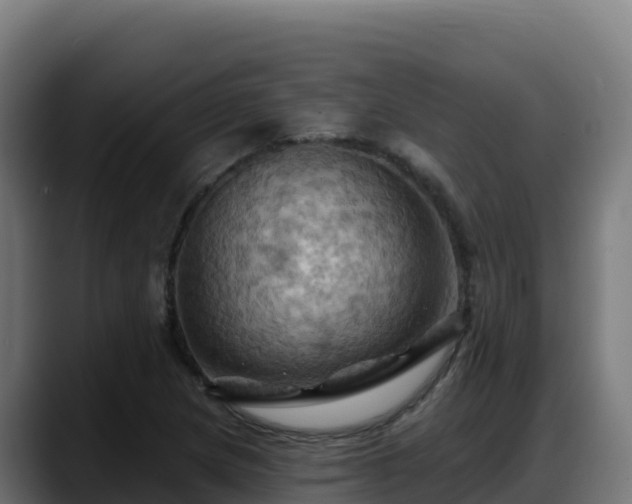 X0000088381217200705291341