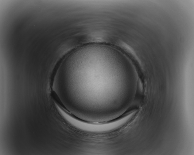 X0000088381218200705291341