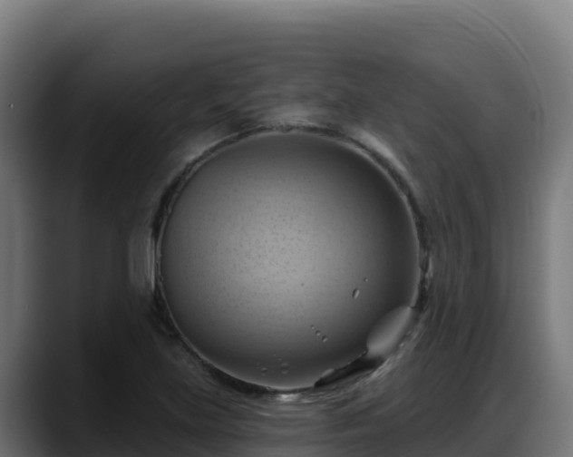 X0000088381219200705291341