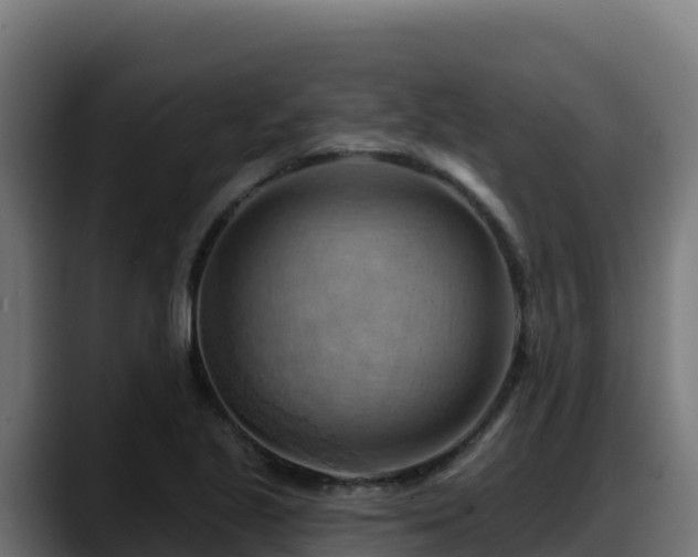 X0000088381221200705291341