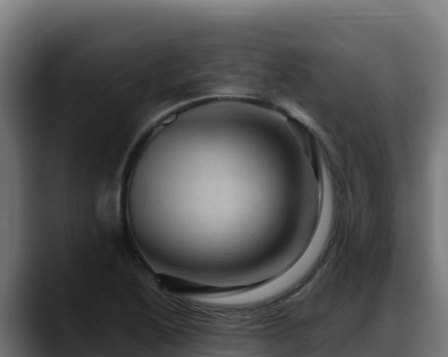 X0000088381222200705291341