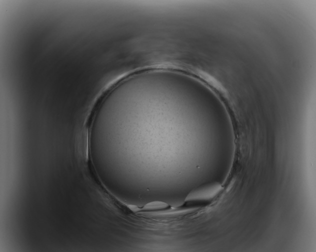X0000088381223200705291341