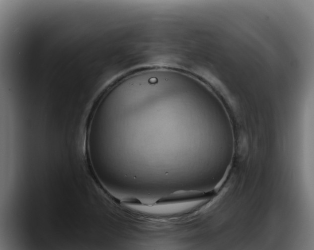 X0000088381224200705291341