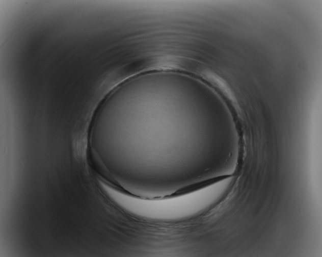 X0000088381226200705291341