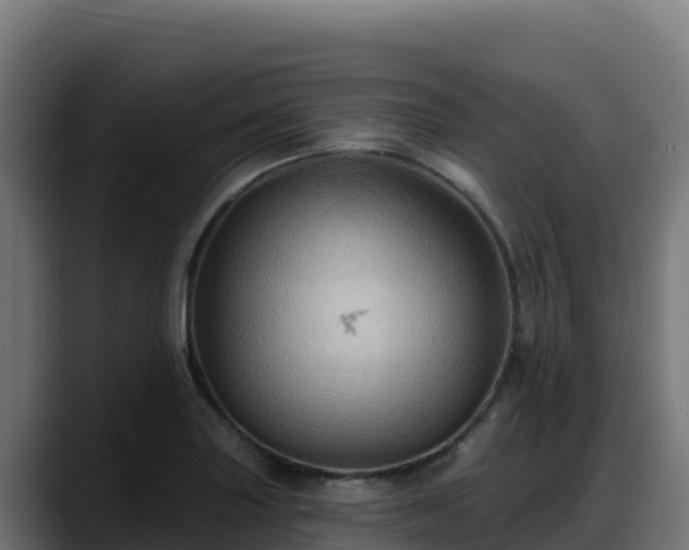 X0000088381227200705291341