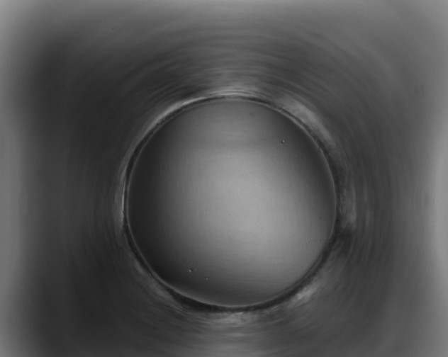 X0000088381228200705291341