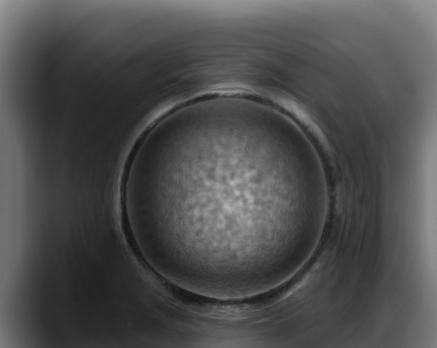 X0000088381229200705291341