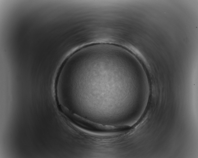 X0000088381230200705291341