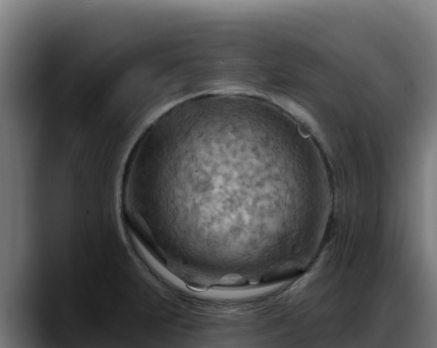X0000088381231200705291341