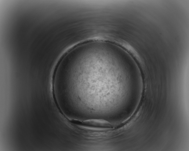 X0000088381232200705291341