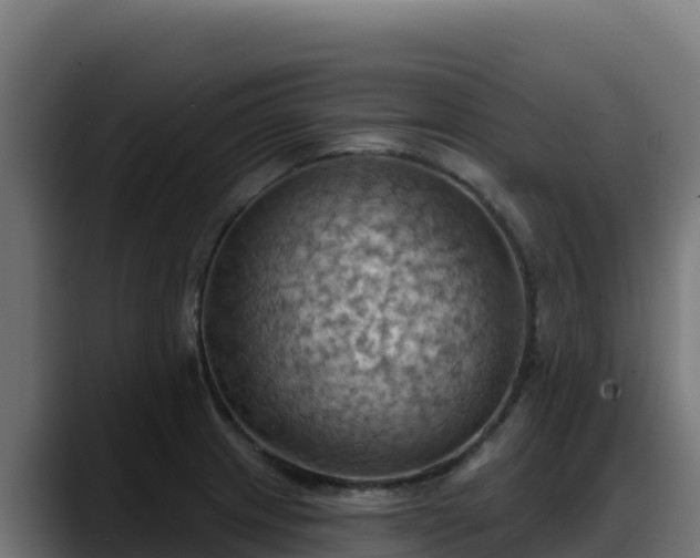 X0000088381233200705291341