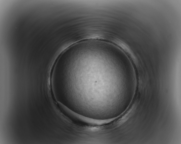 X0000088381234200705291341