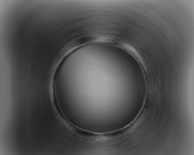 X0000088381235200705291341