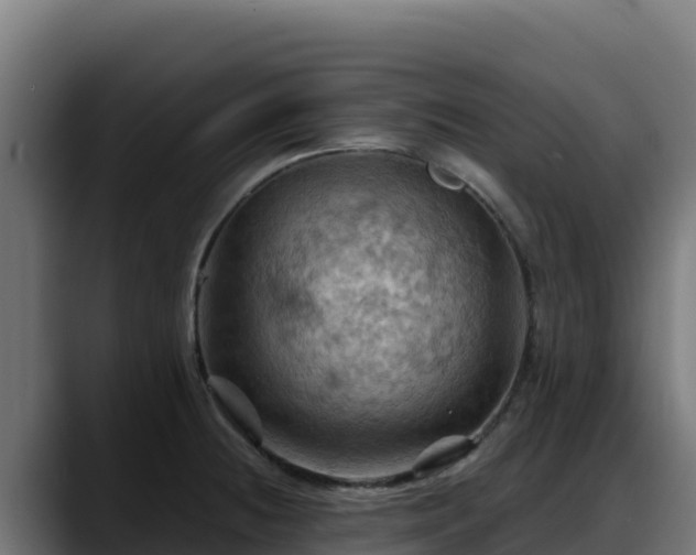 X0000088381236200705291341