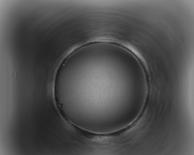 X0000088381237200705291341