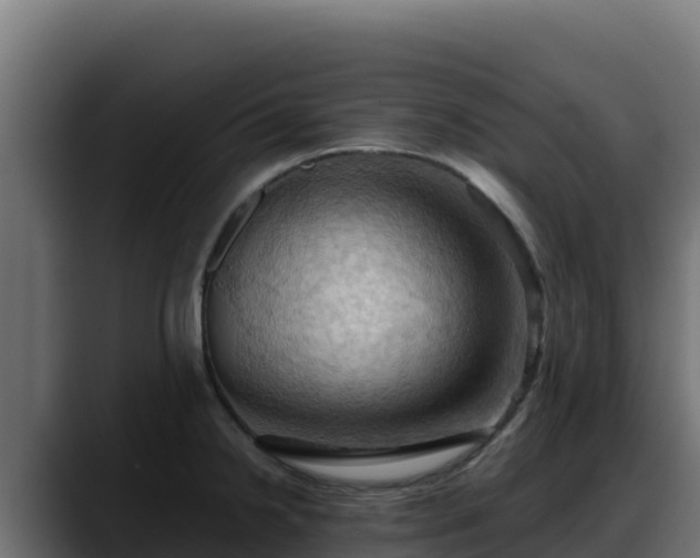 X0000088381238200705291341
