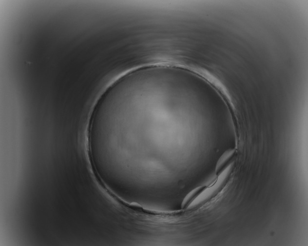 X0000088381239200705291341