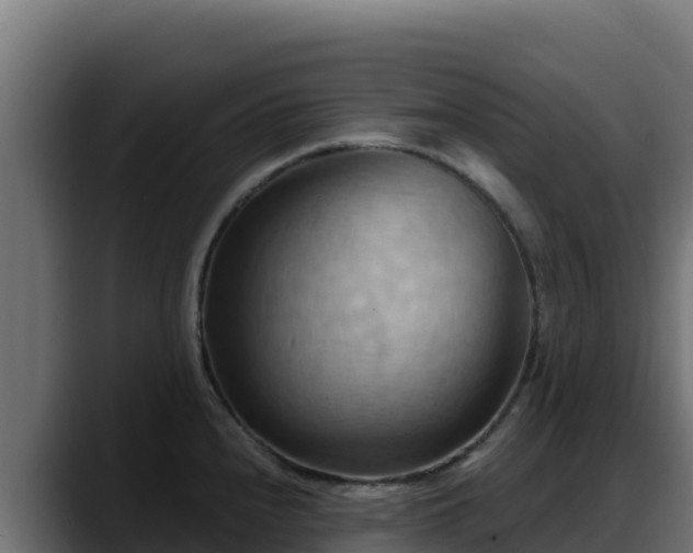 X0000088381240200705291341