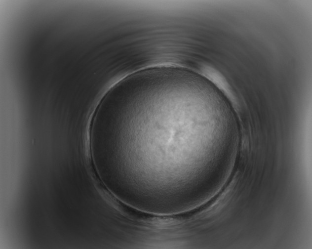 X0000088381242200705291341