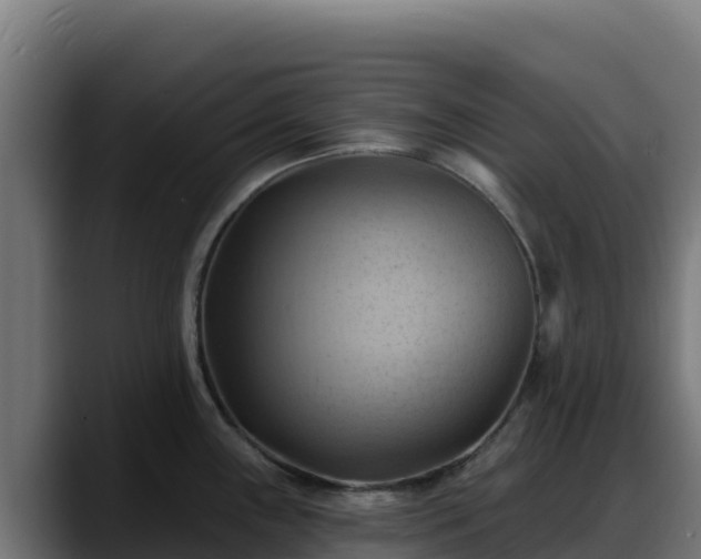 X0000088381243200705291341