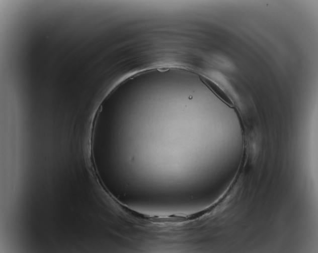 X0000088381244200705291341