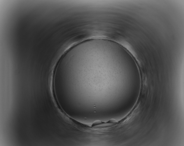 X0000088381245200705291341