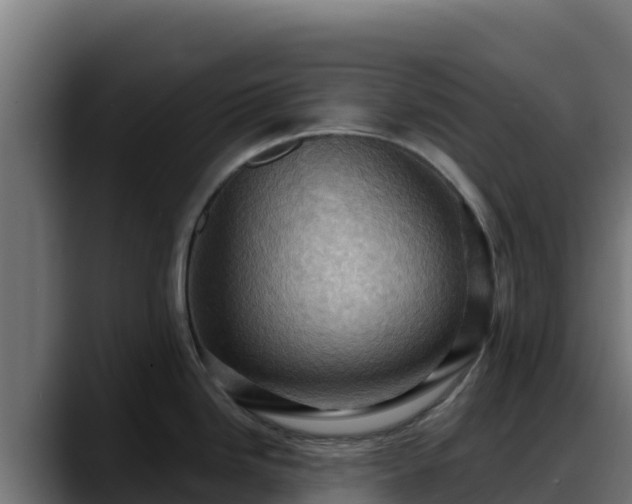 X0000088381246200705291341