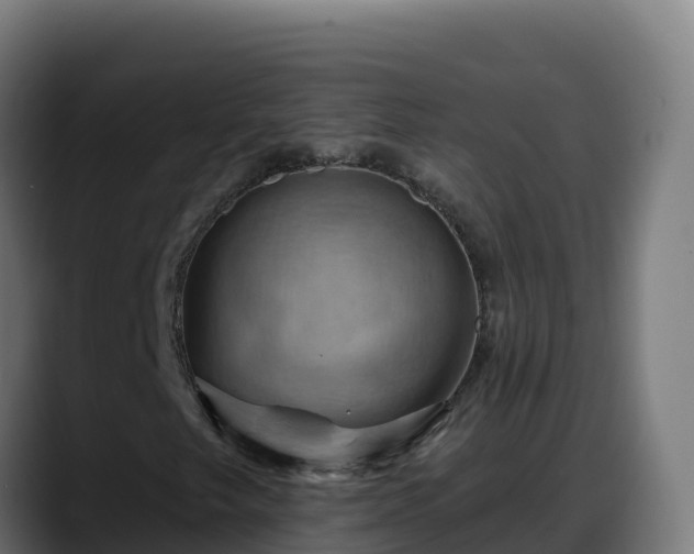 X0000088381249200705291341