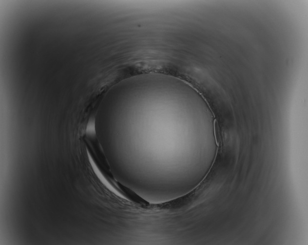 X0000088381250200705291341