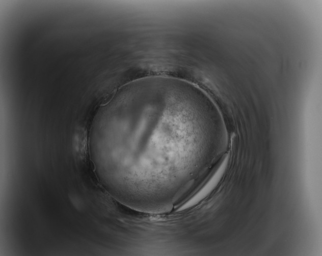 X0000088381251200705291341