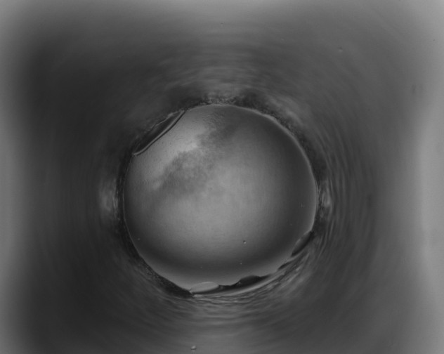 X0000088381252200705291341