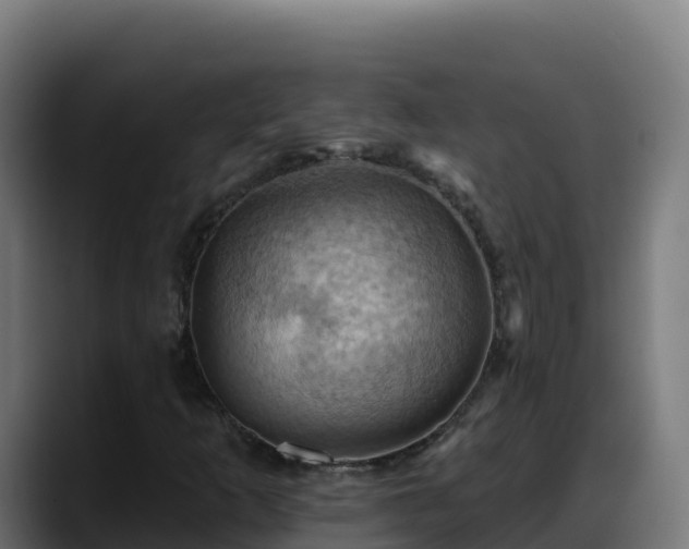 X0000088381253200705291341