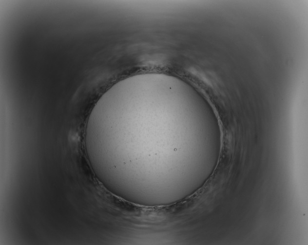 X0000088381254200705291341