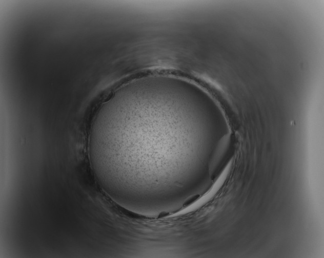 X0000088381255200705291341