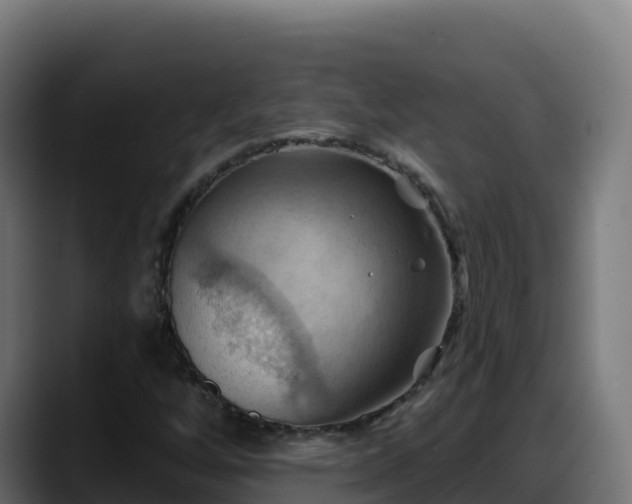 X0000088381256200705291341
