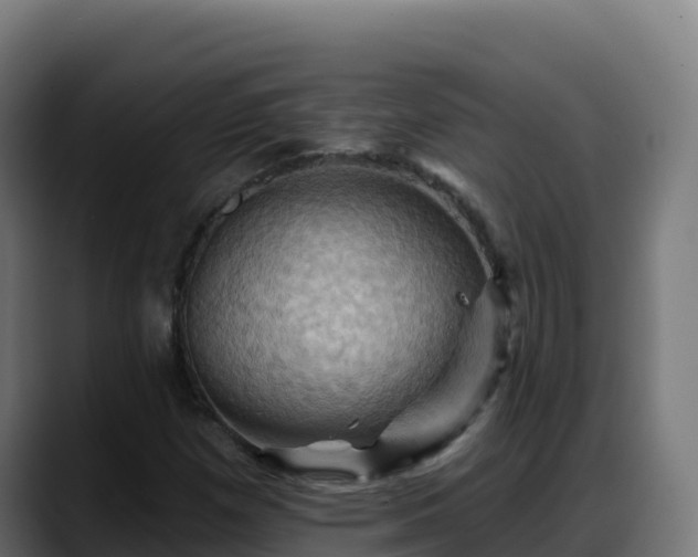 X0000088381257200705291341