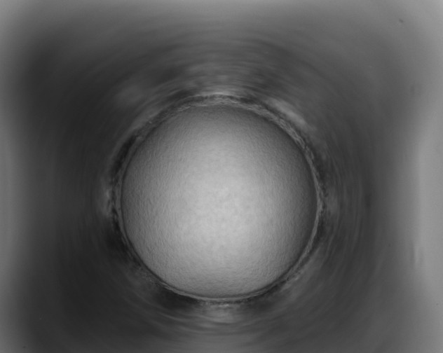 X0000088381258200705291341