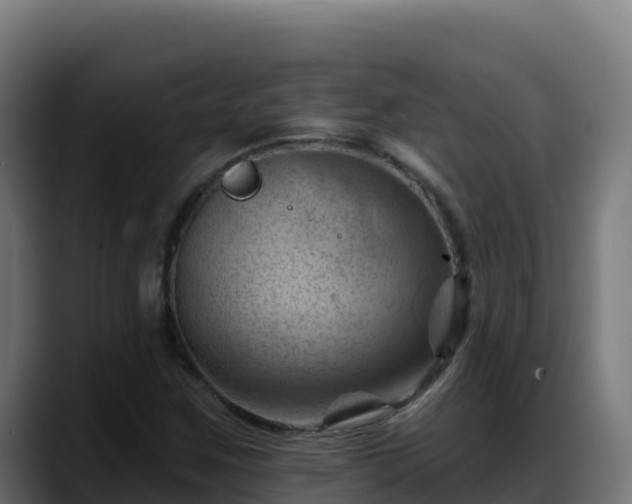 X0000088381259200705291341