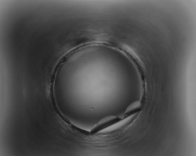 X0000088381260200705291340