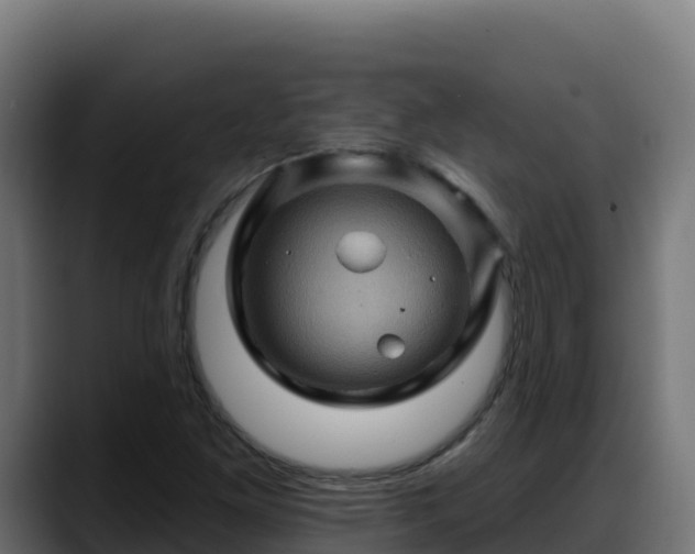 X0000088381261200705291340