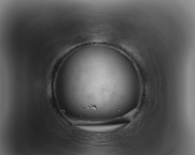 X0000088381262200705291340