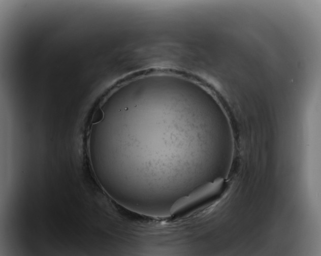 X0000088381263200705291340