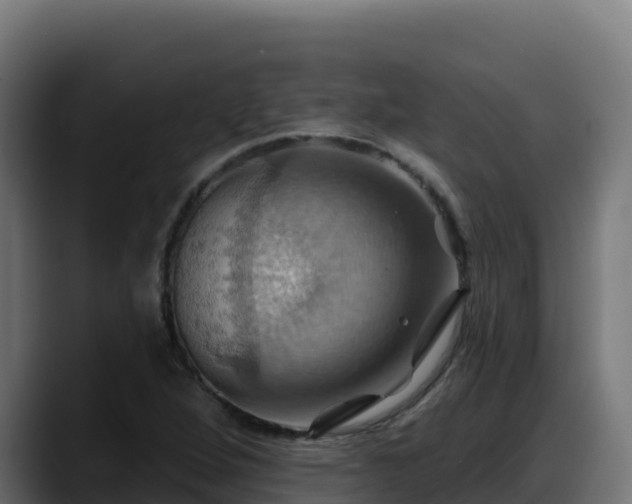 X0000088381264200705291340
