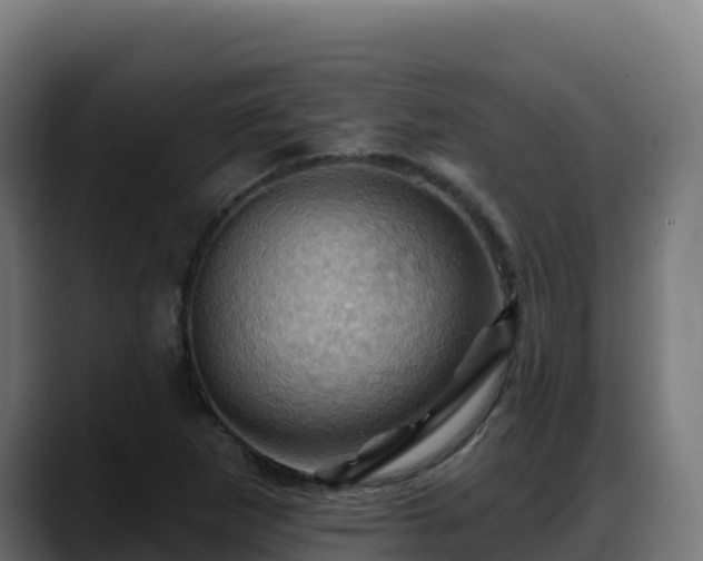 X0000088381265200705291340