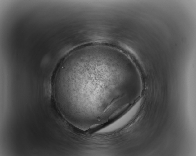 X0000088381267200705291340