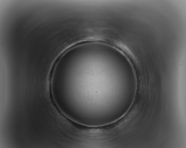 X0000088381268200705291340